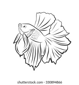 Siamese fish, illustration siamese fish isolated
