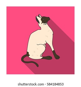 Siamese icon in flat style isolated on white background. Cat breeds symbol stock vector illustration.