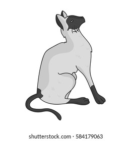 Siamese icon in monochrome style isolated on white background. Cat breeds symbol stock vector illustration.