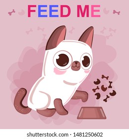 Siamese kitten asks him to feed. Help animals from the shelter.
