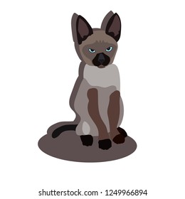 Siamese kitten with blue eyes. Awesome little kitten doodle style illustration.  Cartoon cat picture on isolated background.