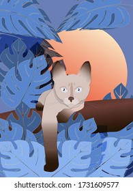 Siamese kitten on the tree. Little kitten in the night is sitting on the tree branch. Wild animal.