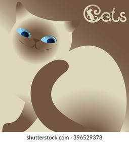  siamese kitten  sitting on beige background