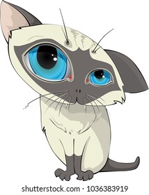 Siamese kitten vector