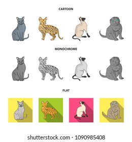 Siamese and other species. Cat breeds set collection icons in cartoon,flat,monochrome style vector symbol stock illustration web.