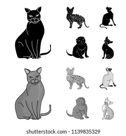 Vector Silhouettes Cats Your Design Stock Vector (Royalty Free) 116108839