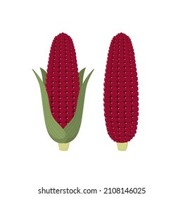 Siamese Red Ruby Corn Isolated Vector. Vegetable And Healthy Food