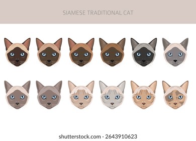Siamese (Thai) Cat clipart. Traditional (classic) type. All coat colors set.  All cat breeds characteristics infographic. Vector illustration