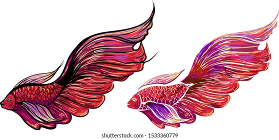 Siamise fighting fish isolate on white background.Sticker beautiful thai fish and tattoo design.colorful and coloring books style Thai beta fish