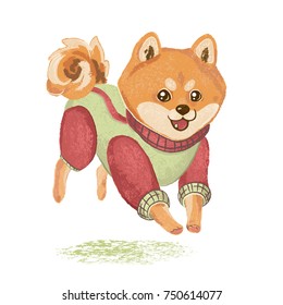 Siba inu runs, jumps and rejoices/Cheerful red dog in overalls
