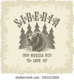 Siberia, a bear head on the background of fir trees, fangs, jaws, Russia, vintage, Sepia, illustration, vector