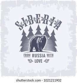 Siberia, bear on spruce background in blue, spruce, Russia, vintage, illustration, vector