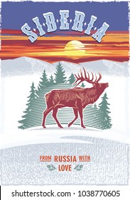 Siberia, the maral Deer on the background of fir trees, sunset, Russia, love, colour poster, illustration, vector