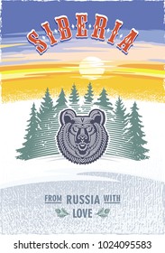 Siberia, stylized bear's head against a background of spruce, sunrise. Russia, love, vintage color poster illustration, vector.