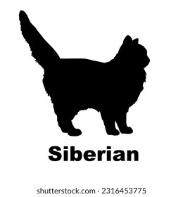 Siberian cat silhouette. Cat breeds vector. Pet. Animal