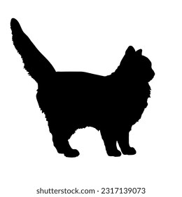 Siberian cat silhouette cat breeds vector