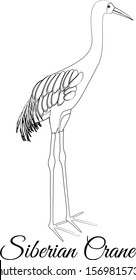 Siberian crane outline vector coloring