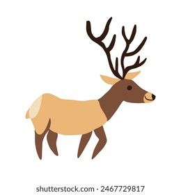 Siberian deer, decorative cartoon flat vector maral forest animal isolated on white background, wild reindeer, simple illustration cute mammal for design children pattern, Christmas icon, map for kid