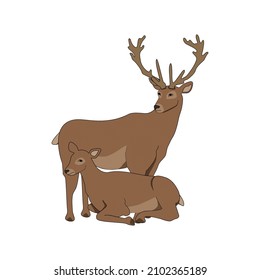 Siberian deer in love rest with each other. Vector image of a pair of deer. Deer in love on Valentine's Day.