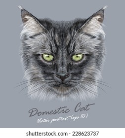 Siberian domestic cat animal cute face. Vector funny long hair kitten head portrait. Realistic fur portrait of Siberian black kitty isolated on grey background.