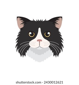 Siberian Forest cat face, head of black and white longhair kitten vector illustration