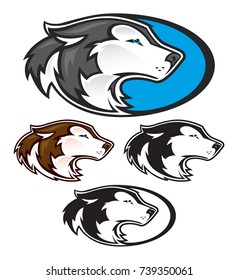 Siberian Husky or Alaskan Malamute Mascot for College or High School Athletics