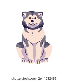 Husky siberiano ou Malamute do Alasca fica em frente. Cachorro fofo bonito de trenó. Feliz filhote relaxa. Engraçado animal de estimação, animal doméstico tem um resto. Ilustração de vetor isolado plano sobre fundo branco