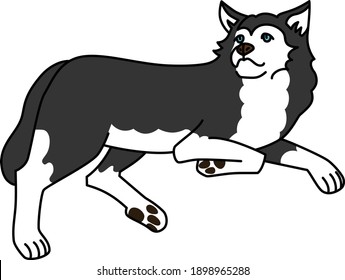 327 Husky Lying Stock Illustrations, Images & Vectors 