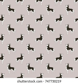 Siberian Husky. Breeds of dogs. Seamless pattern. Minimalism. Dog is a symbol of 2018. Chinese calendar. Vector illustration