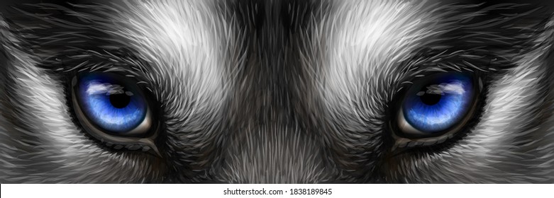 Siberian Husky bright blue eyes close up. Digital vector drawing