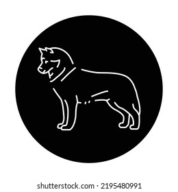 Siberian Husky color line icon. Dog breed. Pictogram for web page, mobile app, promo.