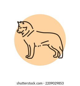 Siberian Husky color line icon. Dog breed. Pictogram for web page, mobile app, promo.