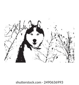 Siberian Husky Color Peeking Dogs. Color image of a dogs head isolated on a white background. Dog portrait, Vector illustration