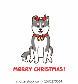 Siberian husky in the costume of a deer, assistant Santa Claus. Merry Christmas card. It can be used for sticker, patch, card, poster, t-shirt, mug and other design.