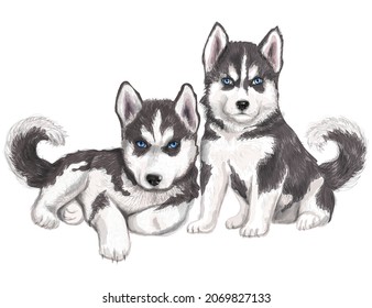 Siberian Husky. Cute puppies, hand drawn illustration