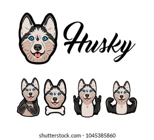 Siberian Husky with different gestures and bone. Middle finger, musculs, horns, rock. Dog breed portrait. Vector illustration.