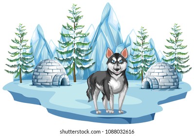 Siberian Husky Dog in Arctic illustration