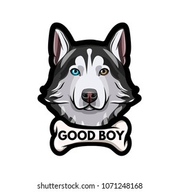 Siberian husky dog. Bone. Good boy inscription. Dog portrait. Dog breed. Vector illustration