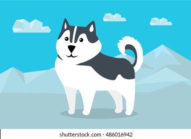 Siberian husky dog breed on snowy mountains background. Flat design vector. Domestic friend and companion animal. For traveling concept, racing sled dogs ad, native species habitat illustrating