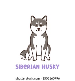Siberian husky dog. It can be used for sticker, patch, phone case, poster, t-shirt, mug and other design.
