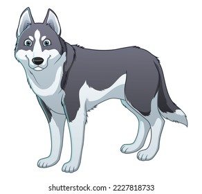 Siberian Husky Dog Cartoon Animal Illustration