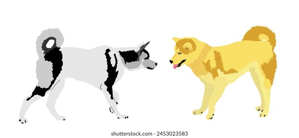 Siberian Husky dog couple in love vector illustration isolated on white background. Beware of dog pet. Dog symbol. Smart canine. Akita Inu against Samoyed.