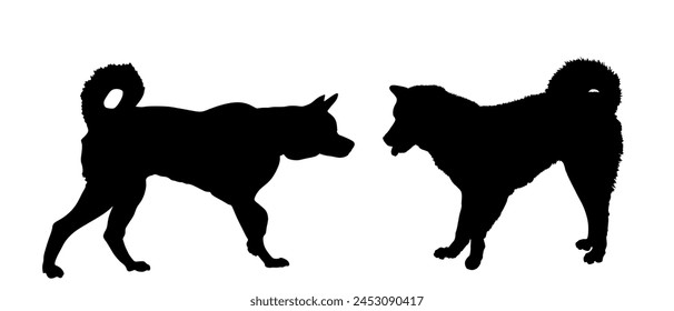 Siberian Husky dog couple in love vector silhouette illustration isolated on white background. Beware of dog pet. Dog shape symbol. Smart canine shadow. Akita Inu against Samoyed.