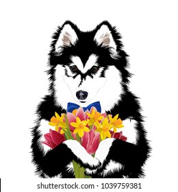 Siberian husky dog with flowers. Vector illustration.