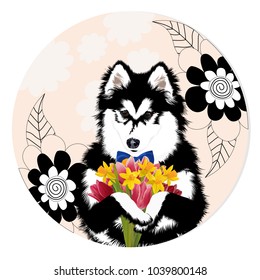 Siberian husky dog with flowers. Vector illustration.