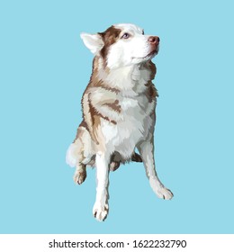 Siberian husky dog friend man vector portrait