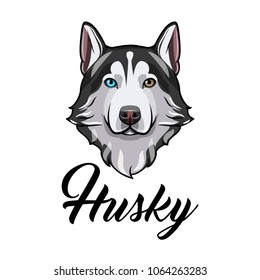 Siberian husky dog. Dog head. Husky face muzzle. Dog breed. Vector illustration