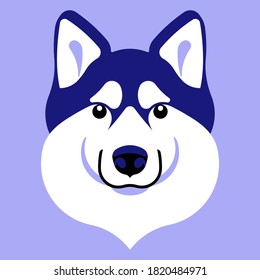 Siberian husky dog. Husky dog head. Dog face muzzle. Purebred. Vector illustration. Dog portrait, mascot, symbol.