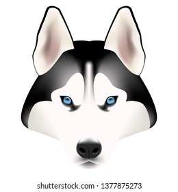 Siberian Husky dog head isolated on white background. Dog breeds collection. Vector illustration