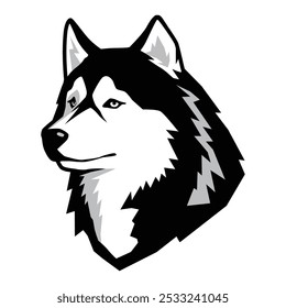 siberian husky dog ​​vector illustration